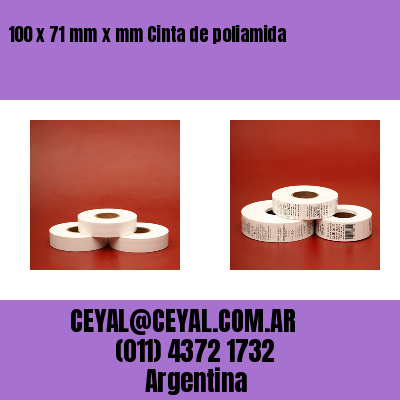 100 x 71 mm x mm Cinta de poliamida