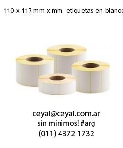 110 x 117 mm x mm  etiquetas en blanco