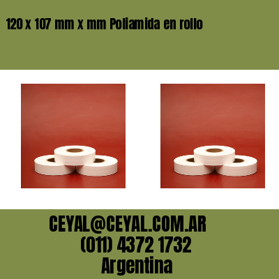 120 x 107 mm x mm Poliamida en rollo