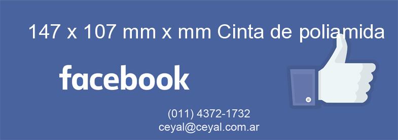 147 x 107 mm x mm Cinta de poliamida