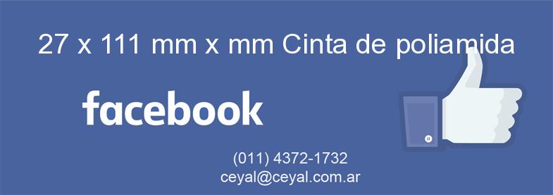 27 x 111 mm x mm Cinta de poliamida