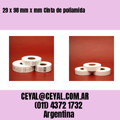 29 x 98 mm x mm Cinta de poliamida