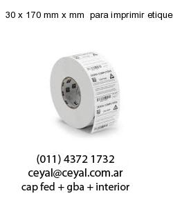 30 x 170 mm x mm  para imprimir etiquetas