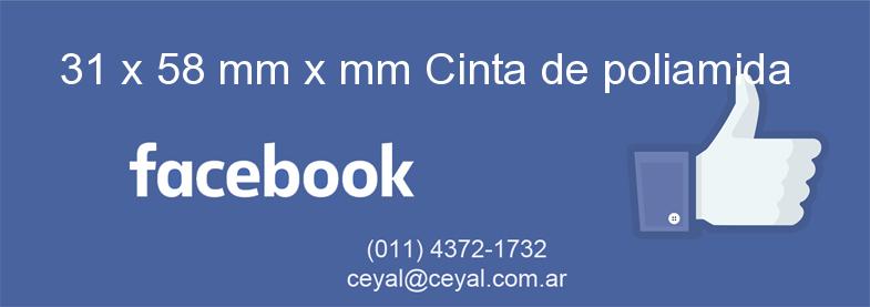 31 x 58 mm x mm Cinta de poliamida