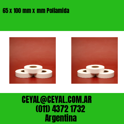 65 x 100 mm x mm Poliamida