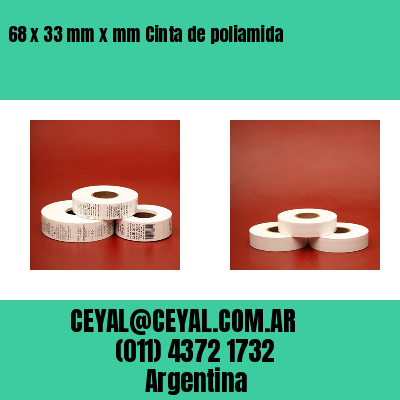 68 x 33 mm x mm Cinta de poliamida