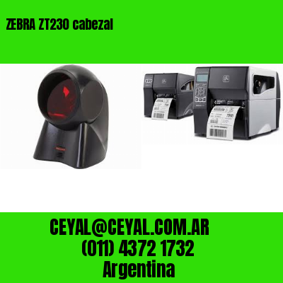 ZEBRA ZT230 cabezal