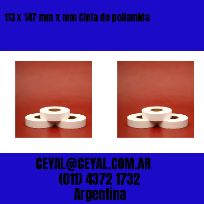 113 x 147 mm x mm Cinta de poliamida