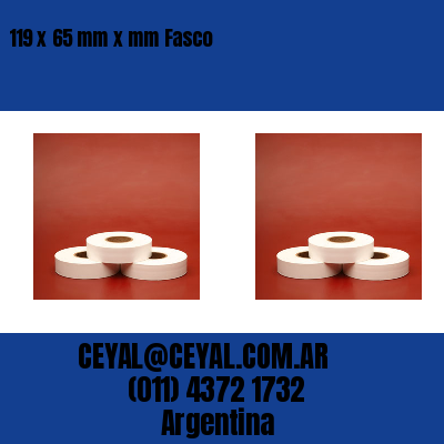 119 x 65 mm x mm Fasco
