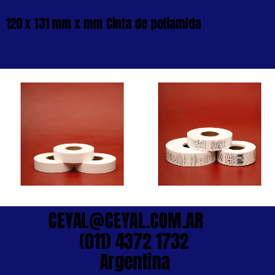 120 x 131 mm x mm Cinta de poliamida
