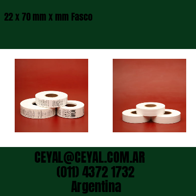 22 x 70 mm x mm Fasco