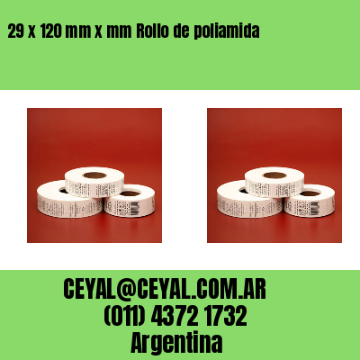 29 x 120 mm x mm Rollo de poliamida