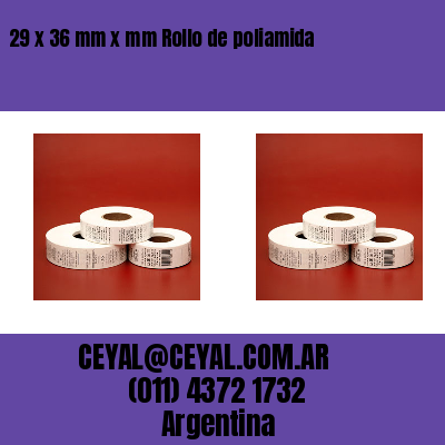 29 x 36 mm x mm Rollo de poliamida