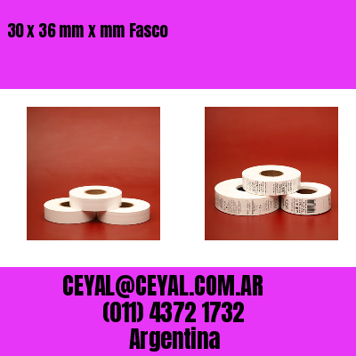 30 x 36 mm x mm Fasco