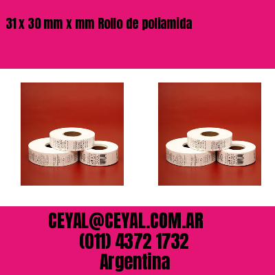 31 x 30 mm x mm Rollo de poliamida