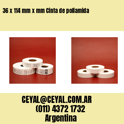 36 x 114 mm x mm Cinta de poliamida