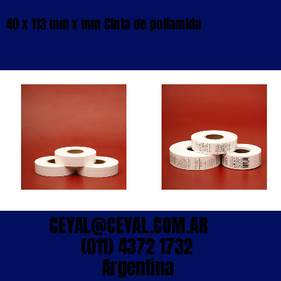 40 x 113 mm x mm Cinta de poliamida