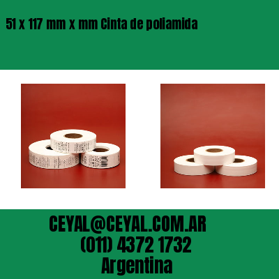 51 x 117 mm x mm Cinta de poliamida