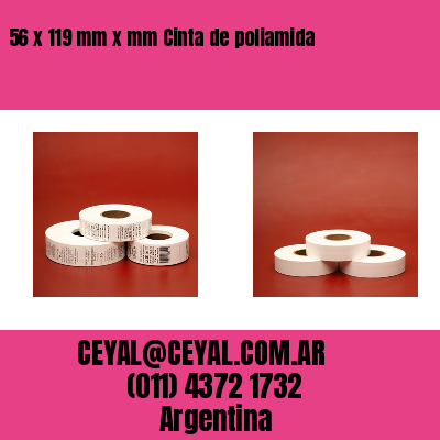 56 x 119 mm x mm Cinta de poliamida