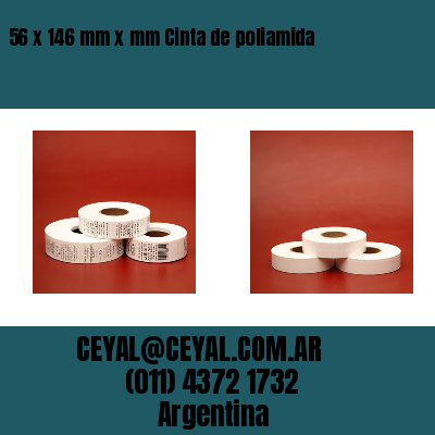 56 x 146 mm x mm Cinta de poliamida