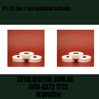61 x 25 mm x mm poliamida satinada