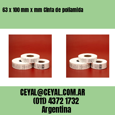 63 x 100 mm x mm Cinta de poliamida
