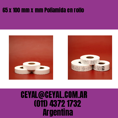 65 x 100 mm x mm Poliamida en rollo
