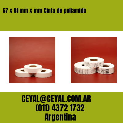 67 x 81 mm x mm Cinta de poliamida