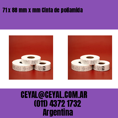 71 x 88 mm x mm Cinta de poliamida