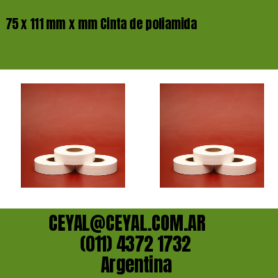 75 x 111 mm x mm Cinta de poliamida