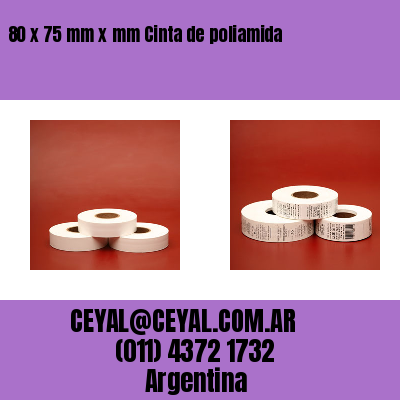 80 x 75 mm x mm Cinta de poliamida
