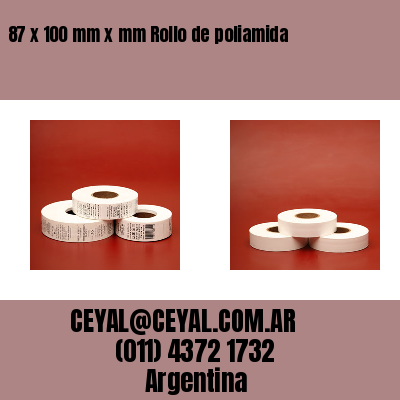 87 x 100 mm x mm Rollo de poliamida