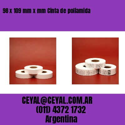 98 x 109 mm x mm Cinta de poliamida