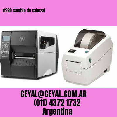 zt230 cambio de cabezal