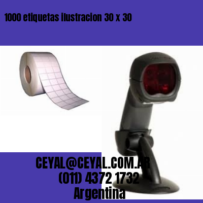 1000 etiquetas ilustracion 30 x 30