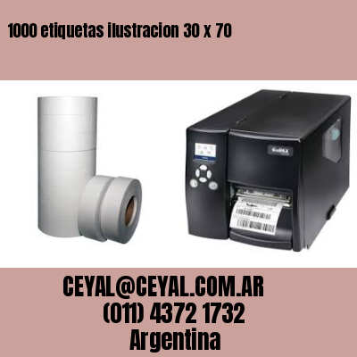 1000 etiquetas ilustracion 30 x 70