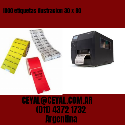 1000 etiquetas ilustracion 30 x 80