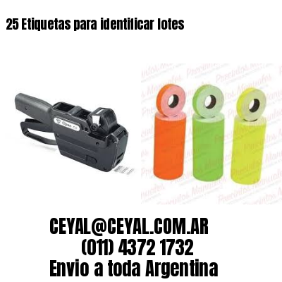 25 Etiquetas para identificar lotes