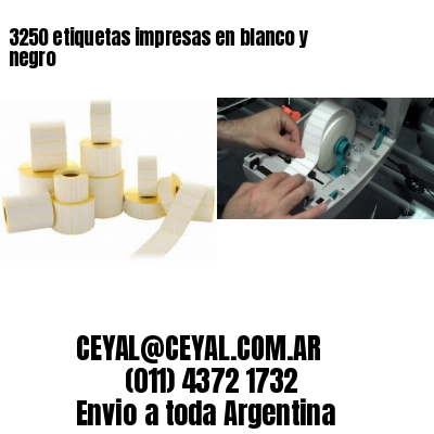 3250 etiquetas impresas en blanco y negro