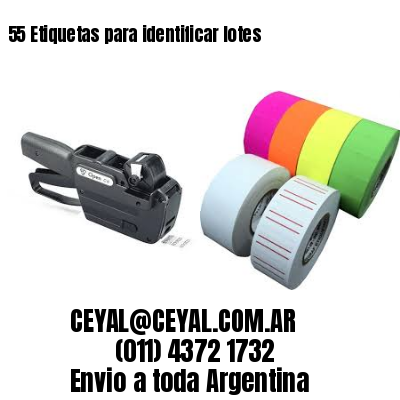 55 Etiquetas para identificar lotes