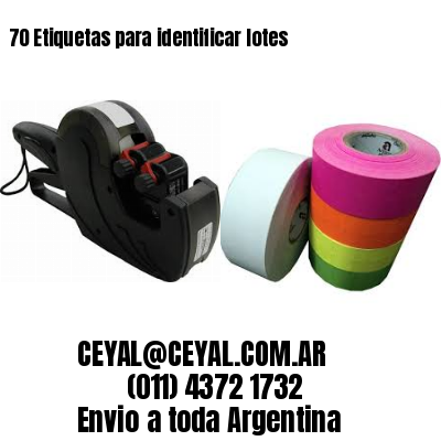 70 Etiquetas para identificar lotes
