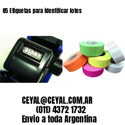 85 Etiquetas para identificar lotes