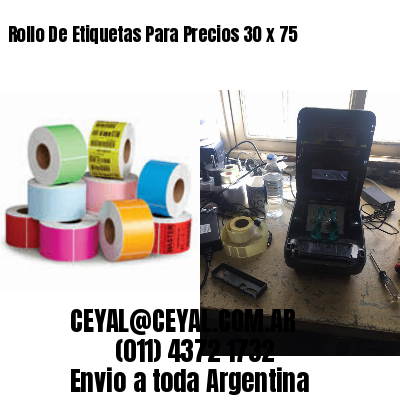 Rollo De Etiquetas Para Precios 30 x 75