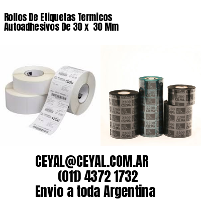 Rollos De Etiquetas Termicos Autoadhesivos De 30 x  30 Mm