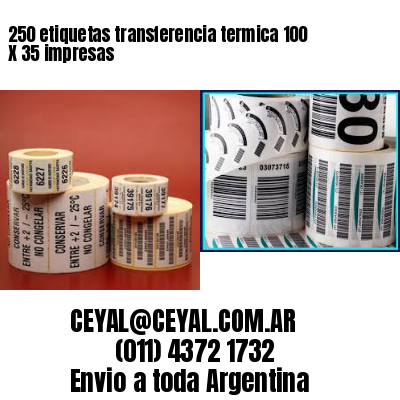 250 etiquetas transferencia termica 100 X 35 impresas