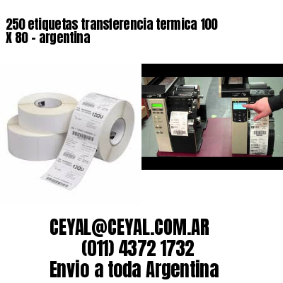 250 etiquetas transferencia termica 100 X 80	– argentina