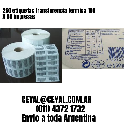 250 etiquetas transferencia termica 100 X 80 impresas