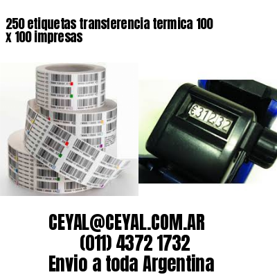 250 etiquetas transferencia termica 100 x 100 impresas