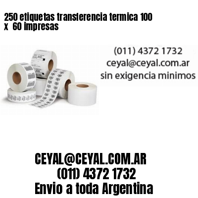 250 etiquetas transferencia termica 100 x  60 impresas