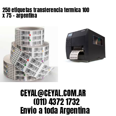 250 etiquetas transferencia termica 100 x 75	– argentina